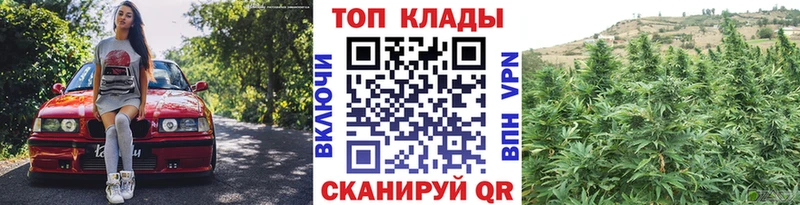 Героин Андреаполь