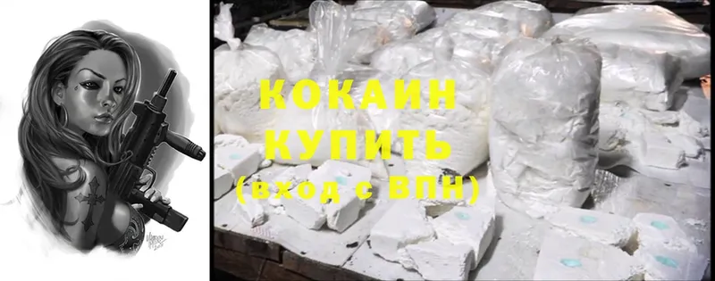 наркотики  mega ССЫЛКА  Cocaine Эквадор  Андреаполь 