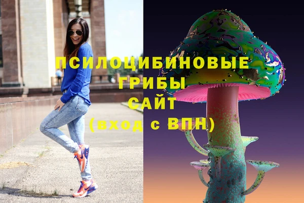 гидра Нея