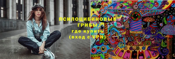 гидра Нея