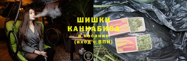 гидра Нея