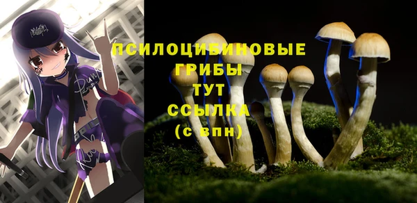 мяу мяу кристалл Бикин