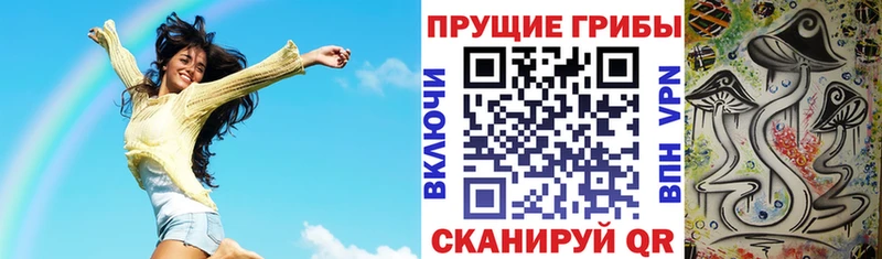 даркнет сайт Андреаполь Псилоцибиновые грибы мухоморы